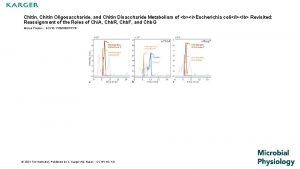 Chitin Chitin Oligosaccharide and Chitin Disaccharide Metabolism of