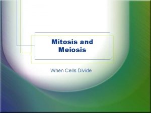 Mitosis and Meiosis When Cells Divide When Do