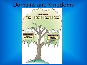 Domains and Kingdoms How are organisms classified 1