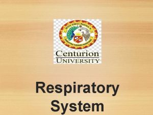 Respiratory System Respiratory System Oxygen Delivery System The