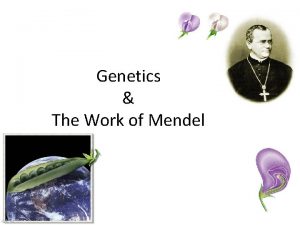 Genetics The Work of Mendel Gregor Mendel Modern