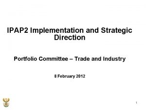 IPAP 2 Implementation and Strategic Direction Portfolio Committee