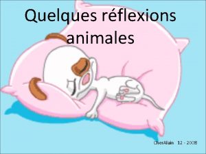 Quelques rflexions animales Cher Alain 12 2008 Diaporama