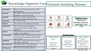 Knowledge Organiser Focus Animals Including Humans fertilisation reproduce