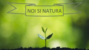 NOI SI NATURA Citate despre Natur i Mediu