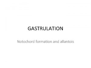 GASTRULATION Notochord formation and allantois Learning objectives Define