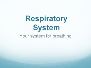 Respiratory System Your system for breathing Nose Nose