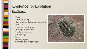 Evidence for Evolution Key Terms Fossil Relative dating