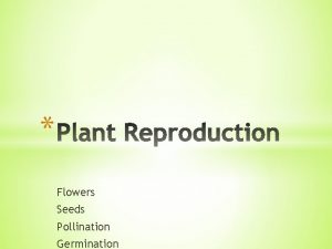 Flowers Seeds Pollination Germination In order for plants