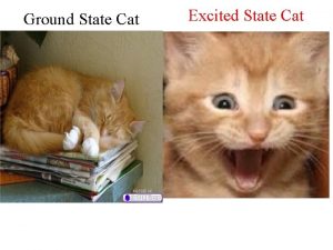 Ground State Cat Excited State Cat Excited states