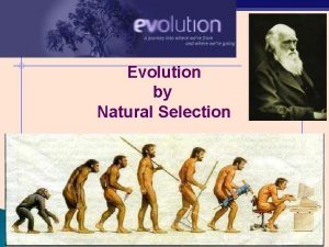 Evolution by Natural Selection Lifes Natural History is