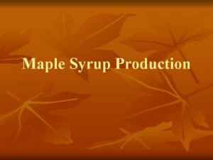 Maple Syrup Production Trees Used n n Sugar