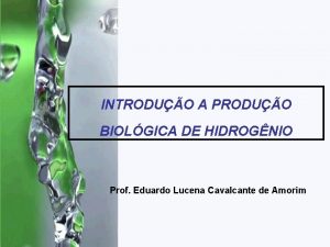 INTRODUO A PRODUO BIOLGICA DE HIDROGNIO Prof Eduardo