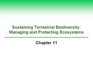 Sustaining Terrestrial Biodiversity Managing and Protecting Ecosystems Chapter