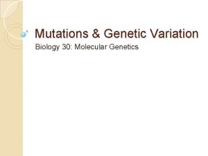 Mutations Genetic Variation Biology 30 Molecular Genetics Silent