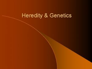Heredity Genetics What is Heredity l Heredity is