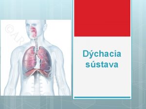 Dchacia sstava Dchacia sstava Zabezpeuje vmenu dchacch plynov