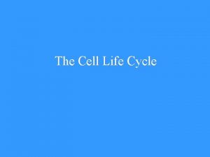 The Cell Life Cycle Learning Objectives Describe the