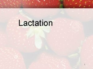 Lactation 1 Lactation Physiology of lactation Changes during