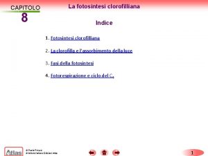 La fotosintesi clorofilliana CAPITOLO 8 Indice 1 Fotosintesi