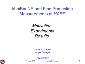 Mini Boo NE and Pion Production Measurements at