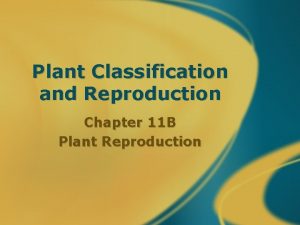 Plant Classification and Reproduction Chapter 11 B Plant