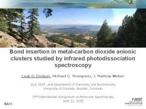 Bond insertion in metalcarbon dioxide anionic clusters studied