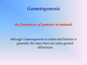 Gametogenesis the formation of gametes in animals although