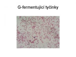 Gfermentujc tyinky G fermentujc tyinky ele Enterobacteriaceae rody