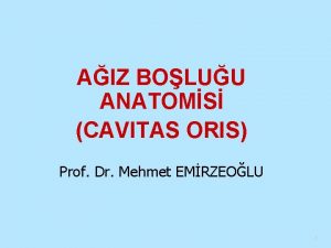 AIZ BOLUU ANATOMS CAVITAS ORIS Prof Dr Mehmet