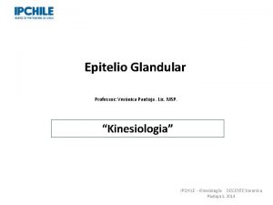 Epitelio Glandular Professor Vernica Pantoja Lic MSP Kinesiologia