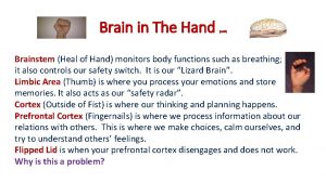 Brain in The Hand yuck Brainstem Heal of