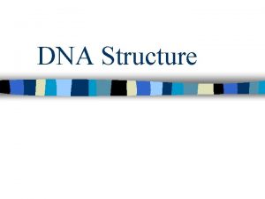 DNA Structure DNA Some DNA Basics DNA stands