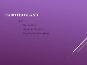 PAROTID GLAND By Dr Leena N Associate Professor