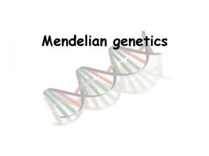 Mendelian genetics Gregor Mendel Father of modern genetics