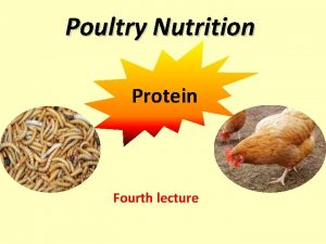 Poultry Nutrition Protein Fourth lecture Quiz Q 1
