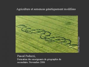 Photo Lucy Pringle Agriculture et semences gntiquement modifies