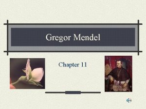 Gregor Mendel Chapter 11 Gregor Mendels Life 1822