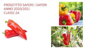 PROGETTTO SAPERE I SAPORI ANNO 20202021 CLASSE 2