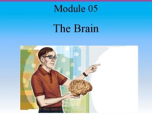 Module 05 The Brain Module 05 The Brain
