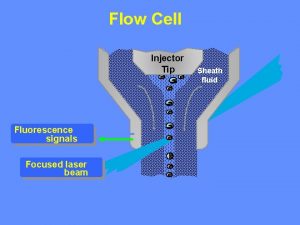 Flow Cell Injector Tip Fluorescence signals Focused laser