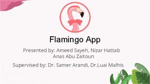 Flamingo App Presented by Ameed Sayeh Nizar Hattab