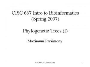 CISC 667 Intro to Bioinformatics Spring 2007 Phylogenetic