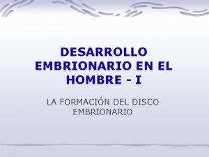 DESARROLLO EMBRIONARIO EN EL HOMBRE I LA FORMACIN