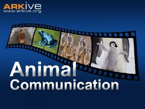 Animal communication Communication the imparting or exchanging of
