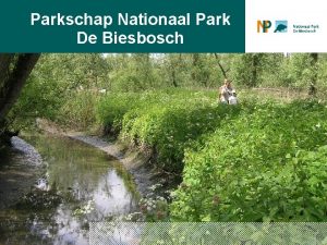 Parkschap Nationaal Park De Biesbosch 18112015 Introductie Natuurwaarde