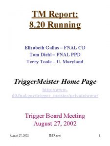 TM Report 8 20 Running Elizabeth Gallas FNAL