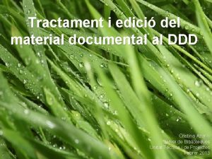 Tractament i edici del material documental al DDD