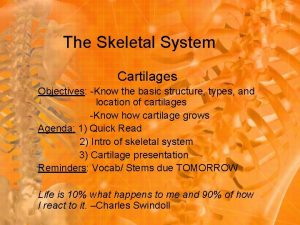 The Skeletal System Cartilages Objectives Know the basic