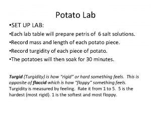 Potato Lab SET UP LAB Each lab table